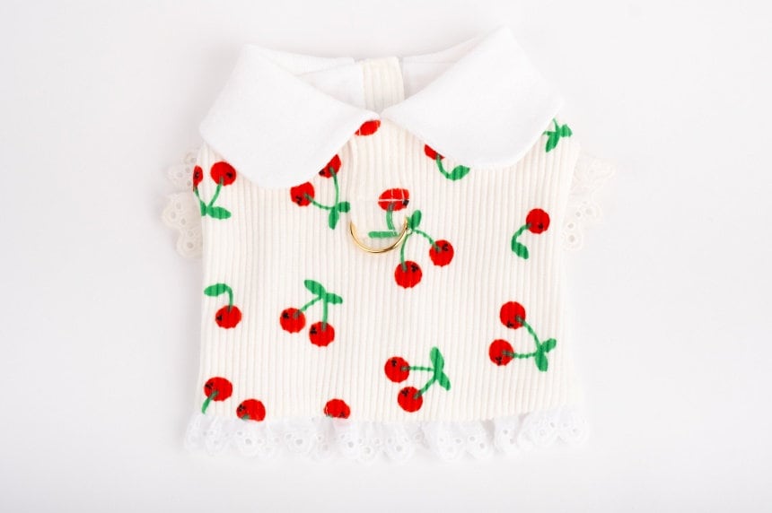 White cherry print dog dress with a white collar and lace trim