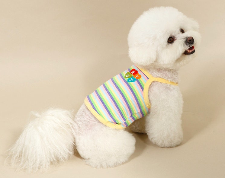 NKpup Ranibow Ribbed Top dog shirt with colorful rainbow stripes and yellow trim