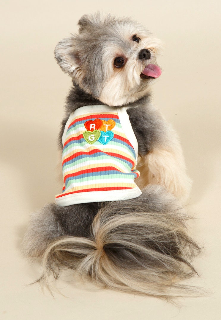 NKpup Ranibow Ribbed Top for dogs featuring multi-colored stripes and heart-shaped patches.