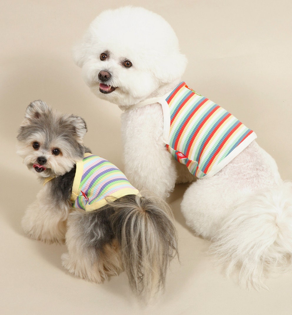 NKpup Ranibow Ribbed Top dog shirts with colorful rainbow stripes
