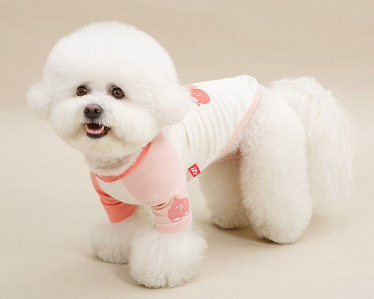 NKpup Veggie Color Block Top dog shirt in pink and white with carrot graphics