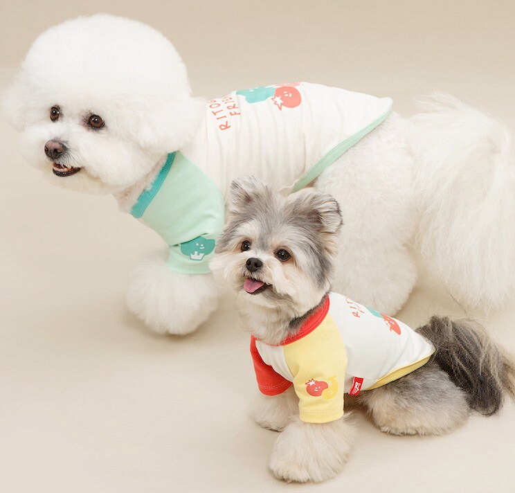 Veggie Color Block Top dog shirts in white, mint, and yellow with fruit patterns.
