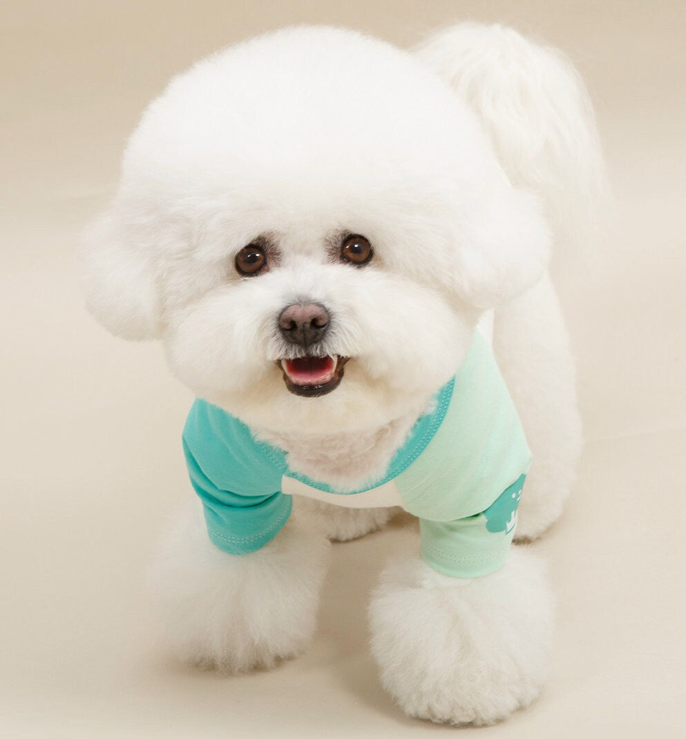 NKpup Veggie Color Block Top dog shirt in mint green