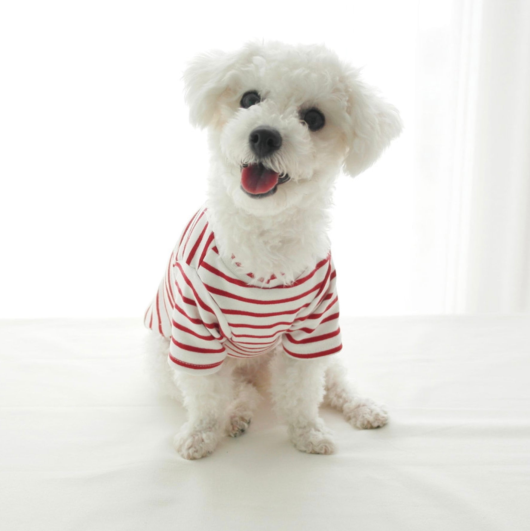 Cotton Stripe T-shirt, XS-2XL, Dog-Tee, Dog T-shirt, Dog Top, Dog Clothing, Dog Fashion, Dog Apparel, Undershirt for Dogs