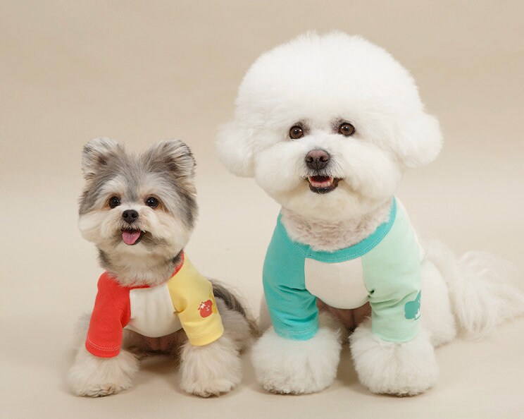 NKpup Veggie Color Block Top dog shirts in red, white, and yellow and teal, white, and mint green.