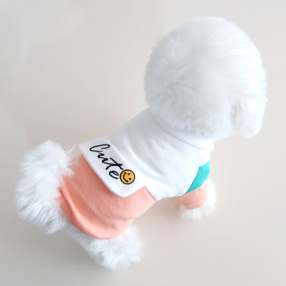 Cute Color Blocks T-shirts, S-2XL, Small Dog Clothes, Dog-Tee, Dog T-shirt, Dog Top, Dog Outfit, Dog Fashion, Dog Apparel