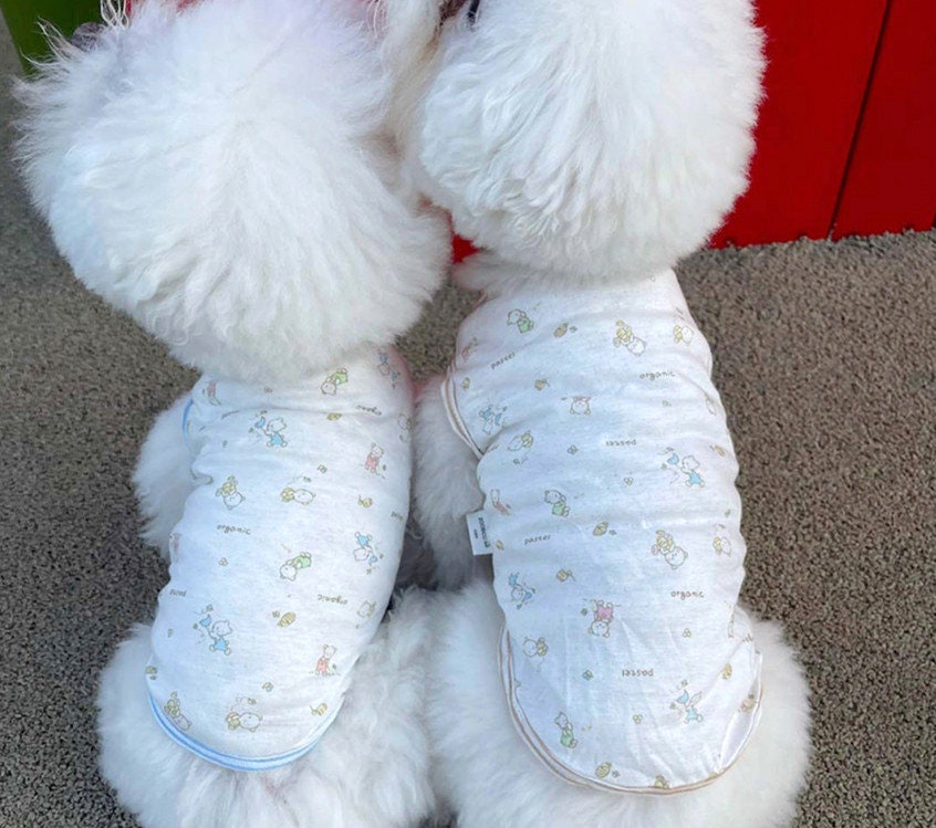 Two white dogs wearing white NKpup GOTS organic jacquard dog shirts with a cute cartoon pattern.