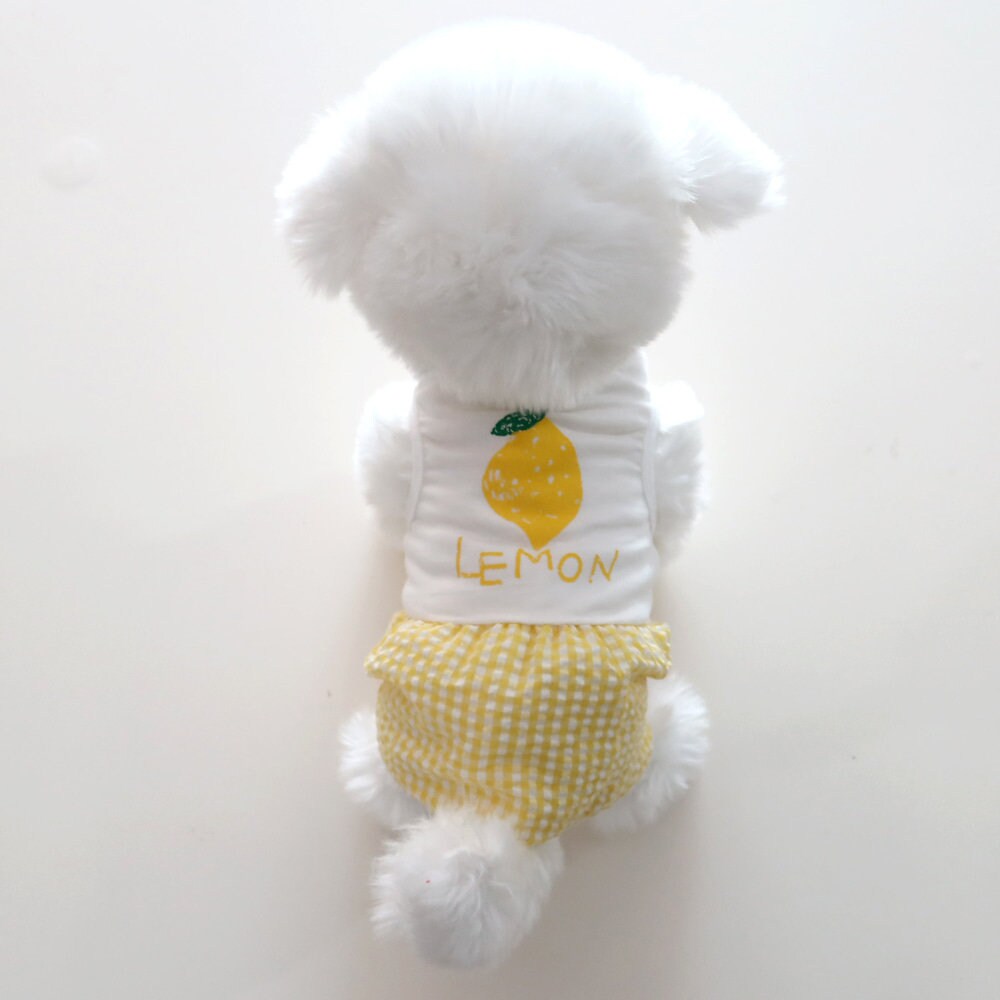 Fruit Non Sleeves Overall, XS-XL, Pajama Pet, Dog Jumpsuit, Dog Romper, Dog Summer Top, Dog Clothes, Dog Apparel, Pet Clothing