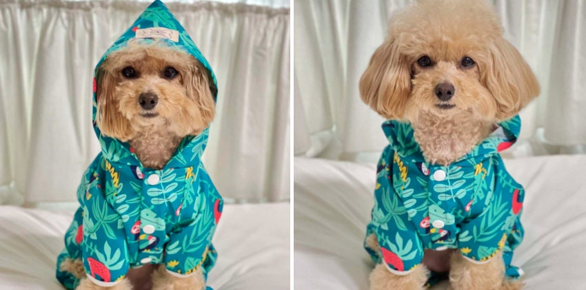 Tropical Romper Raincoat for Dog, S-2XL, Waterproof, Poncho for Dog, Outdoor Raincoat for Dog, Pet Clothing, Dog Jacket, Dog Apparel