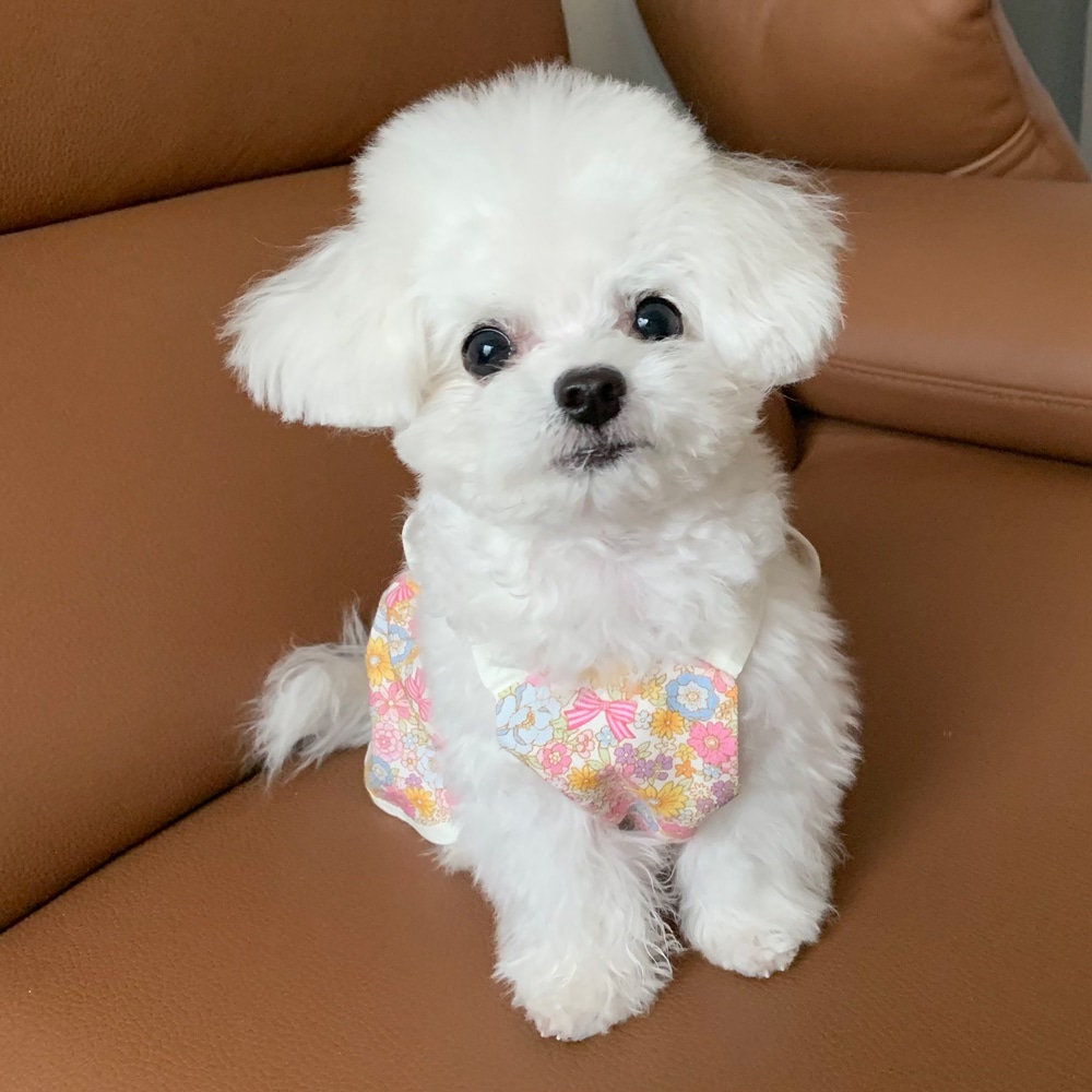 NKpup vintage floral dog dress with colorful flower patterns