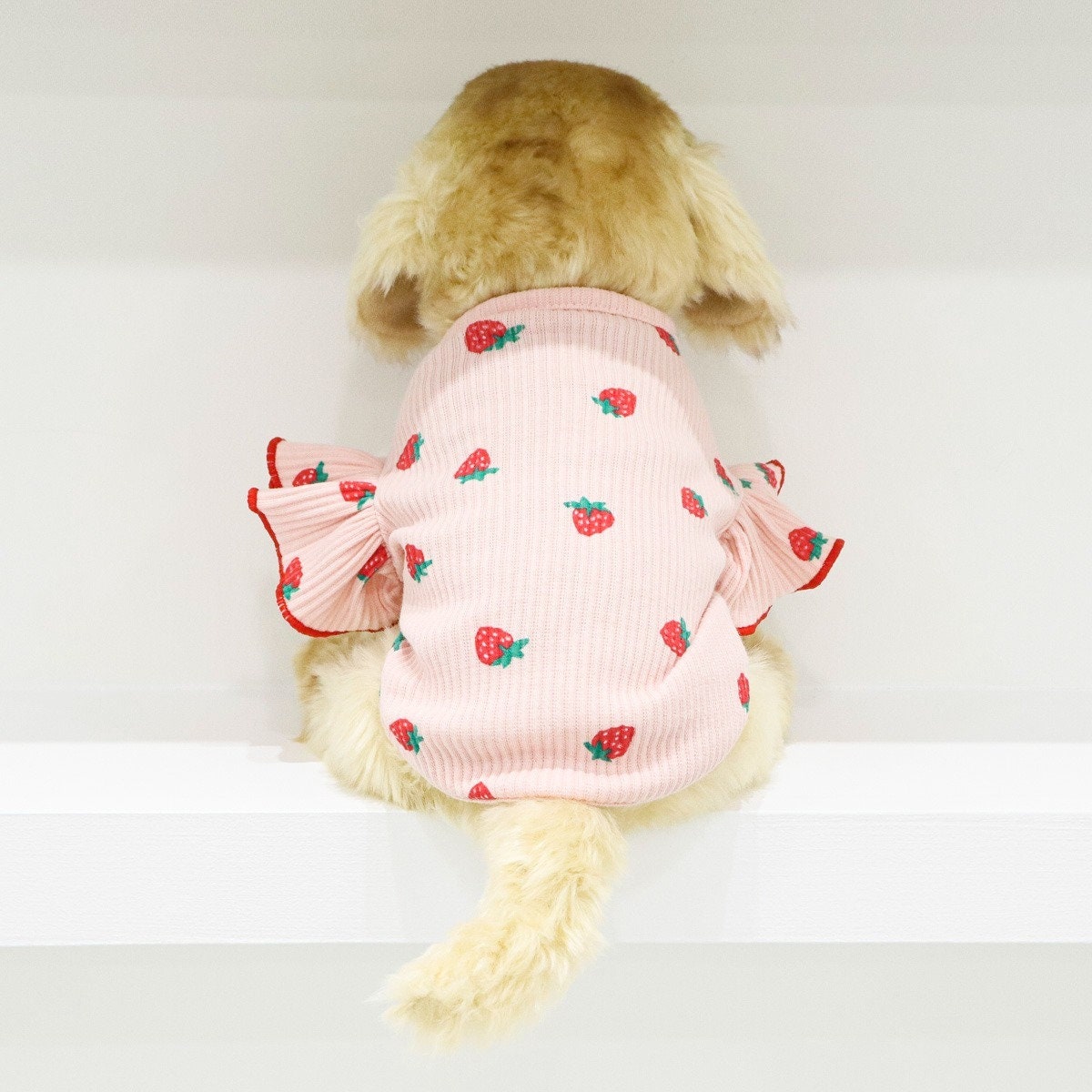 Pink strawberry print dog shirt with ruffled sleeves