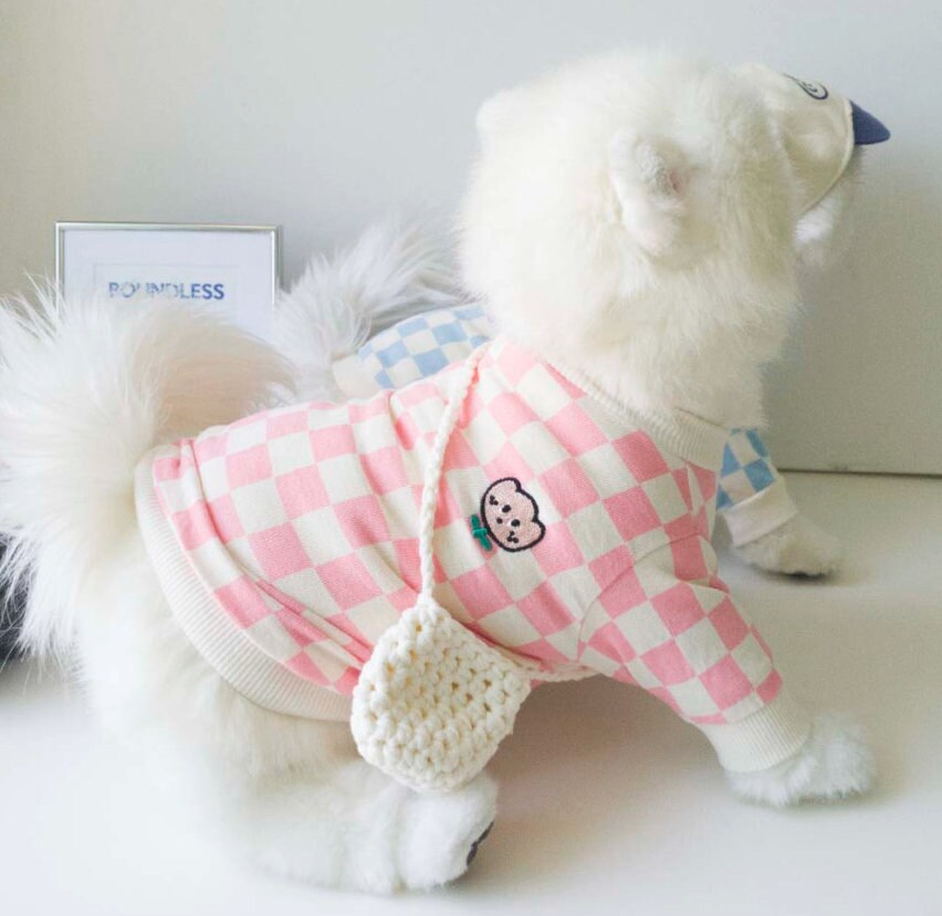 White dog wearing a pink and white checkerboard tulip dog shirt with a small bear patch.