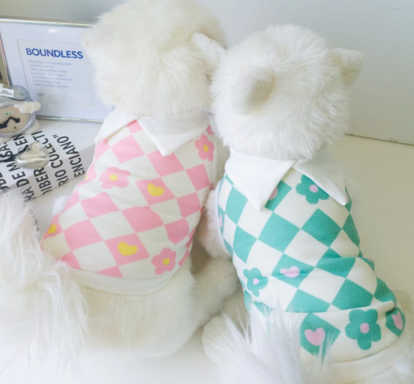 Two small white dogs wearing NKpup checkerboard flower dog shirts in pink and green.