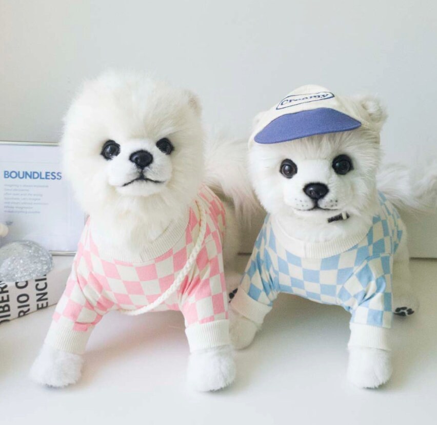 Two small white dogs wearing checkerboard tulip dog shirts in pink and blue.