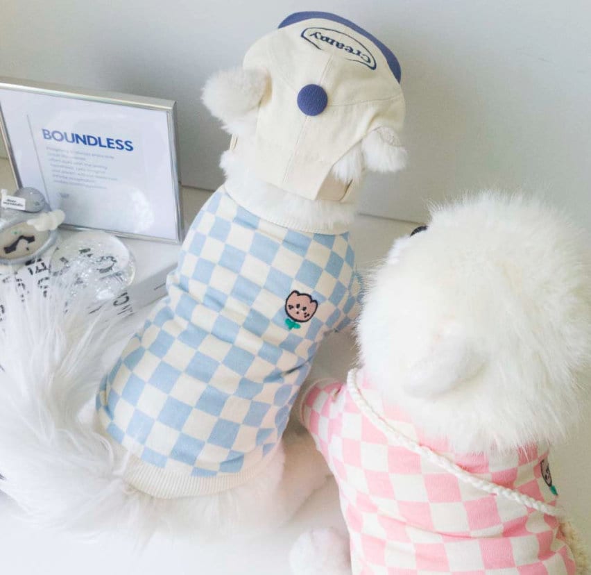 Two white dogs wearing NKpup checkerboard dog shirts in blue and pink patterns.