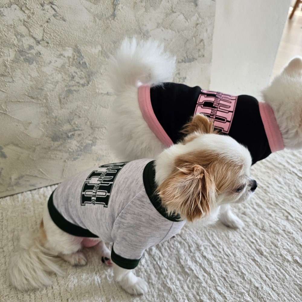 Contrasting Sweatshirt, S-2XL, Pet Clothing, Pet Clothing, Dog-Tee, Dog T-shirts, Dog Top, Dog Clothing, Dog Fashion, Dog Apparel - NKpup