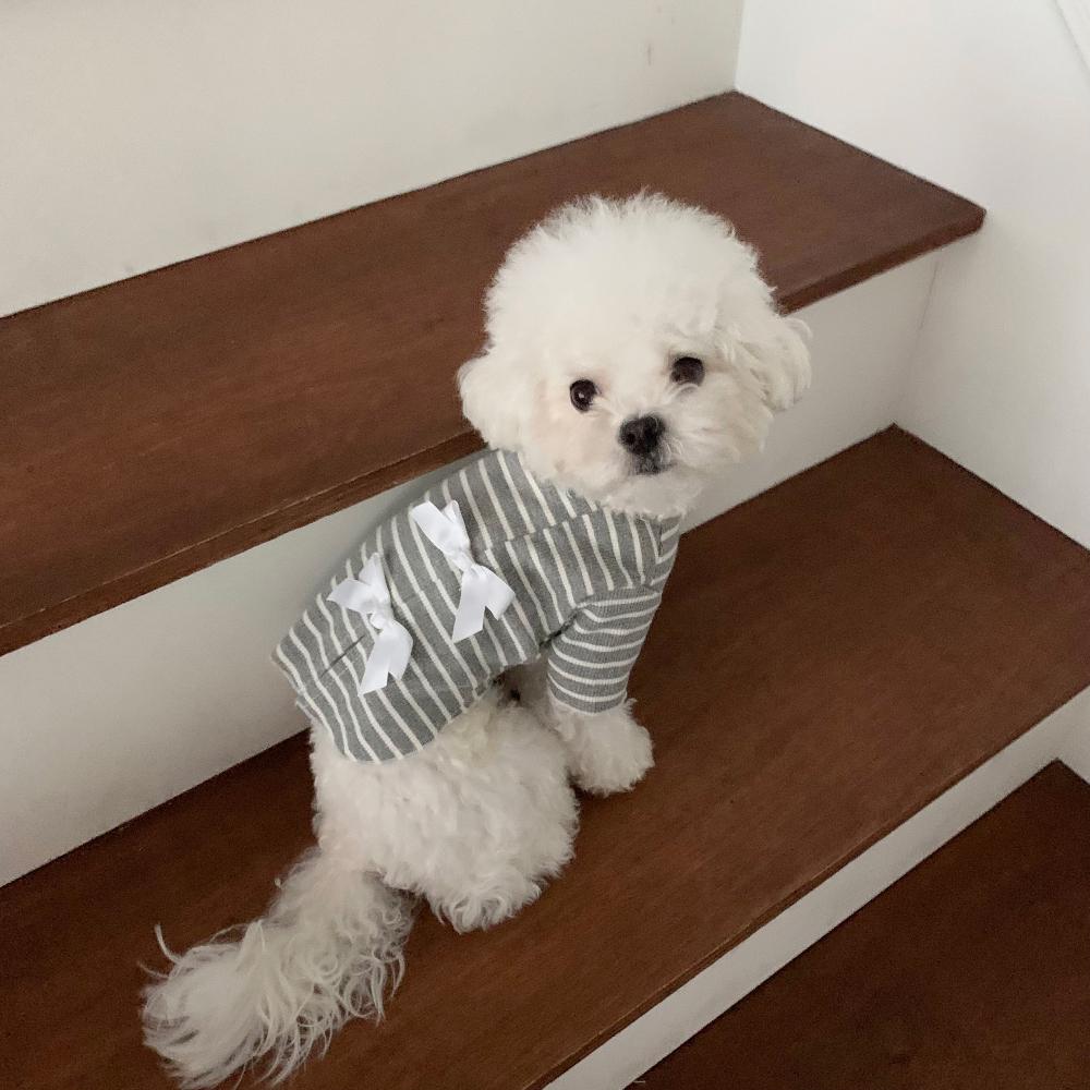 Striped Bow Shirt, S-XL, Dog-Tee, Dog T-shirt, Dog Top, Dog Clothing, Dog Fashion, Dog Apparel, Undershirt for Dogs - NKpup