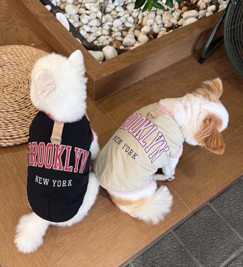 Two dogs wearing Brooklyn D-Ring padded dog vests in black and beige with New York text.