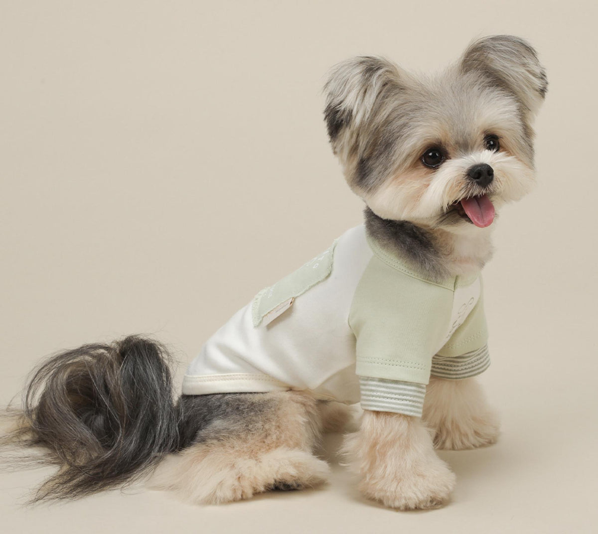 NKpup GOTS organic cotton pastel tee in white and light green for dogs