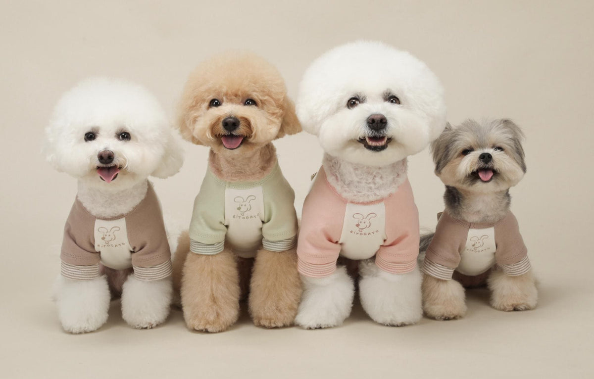 Four small dogs wearing NKpup GOTS organic cotton pastel tees in tan, sage green, pink, and taupe.