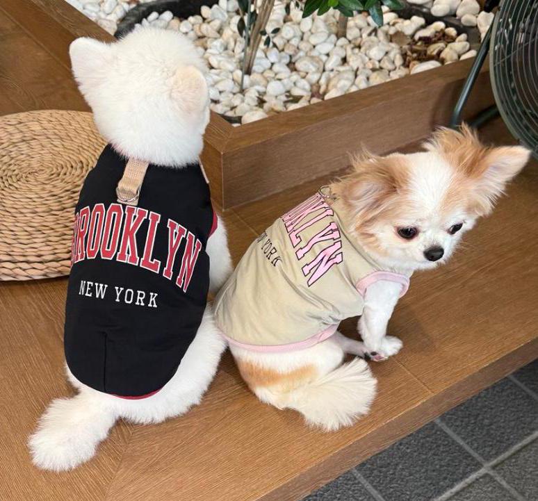 Two small dogs wearing Brooklyn D-Ring Padded Dog Vests in black and beige.