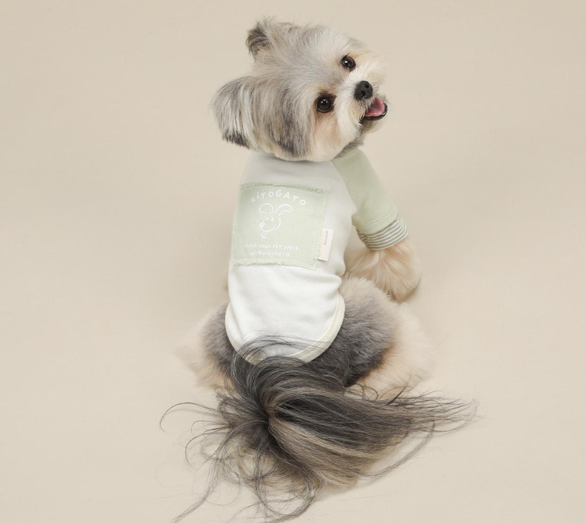 NKpup GOTS organic cotton pastel tee for dogs in white and sage green