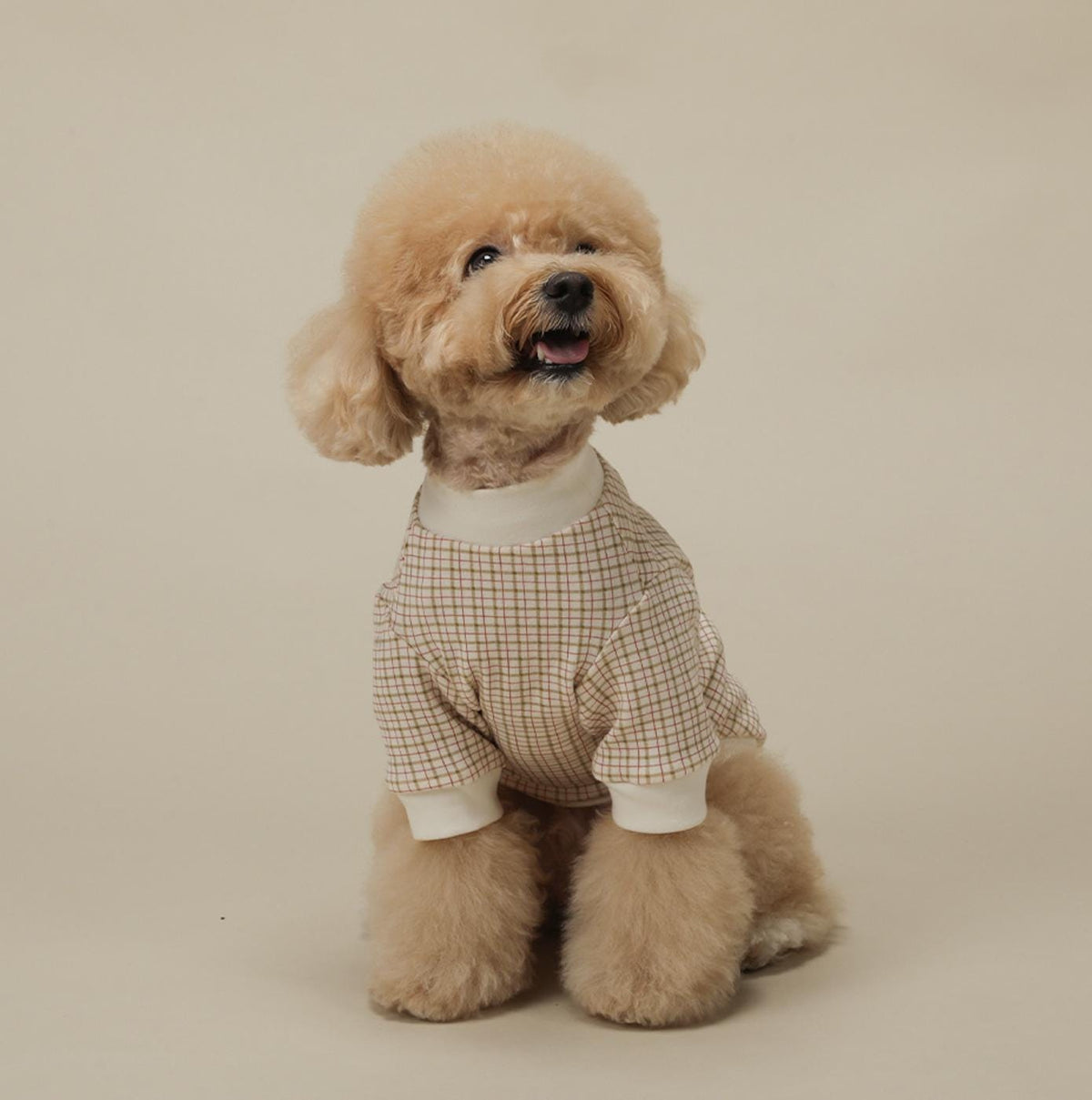 Charming Checker Tee, S-2XL, Small Dog Clothes, Dog Top, Dog T-shirts, Pet Clothes, NKPUP - NKpup