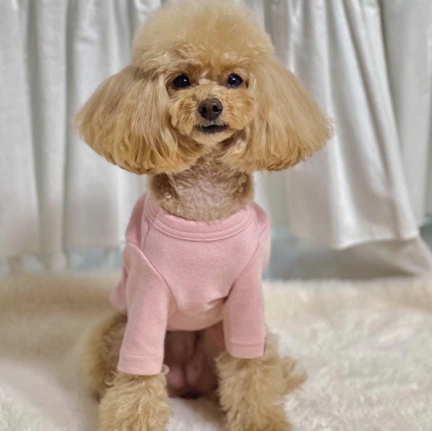 Basic Round Shirt, XS-2XL, Pet Clothing, Dog-Tee, Dog check-shirt, Dog Top, Dog Clothing, Dog Fashion, Dog Apparel, Dog Long sleeves - NKpup