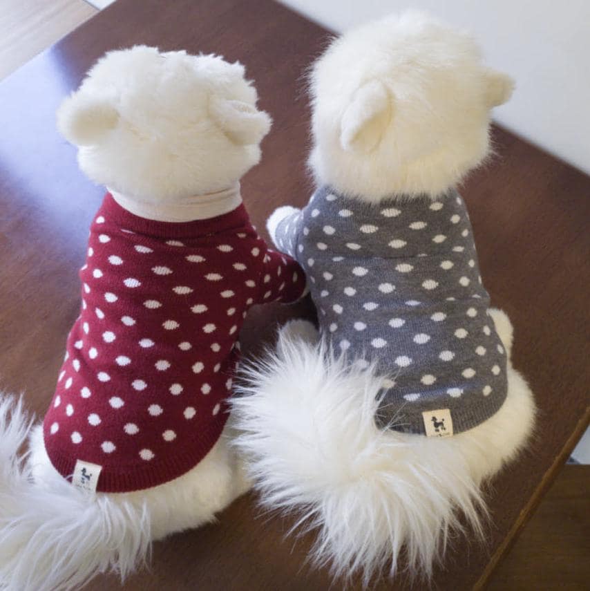 S-3XL, Polka Dot Knit Cardigan, Small Dog Clothes, Dog Sweater, Dog Winter Outfit, Small Dog Top, NKPUP - NKpup