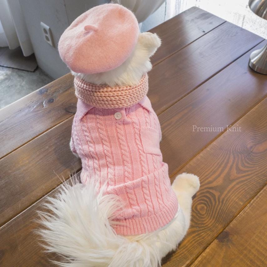 Pink cable knit polo dog sweater with a matching pink beret