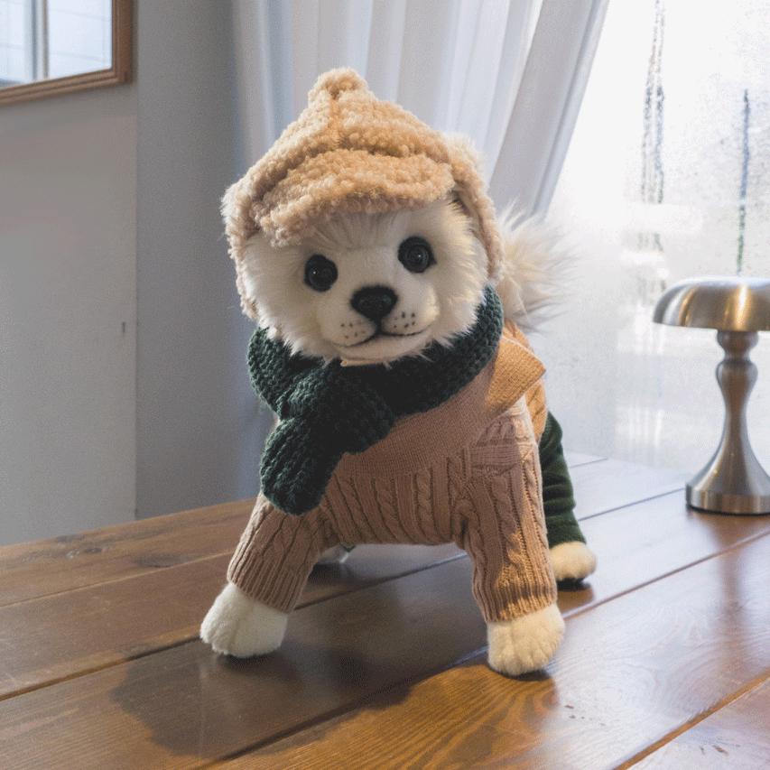 Tan cable knit polo dog sweater paired with a dark green scarf and matching tan hat.