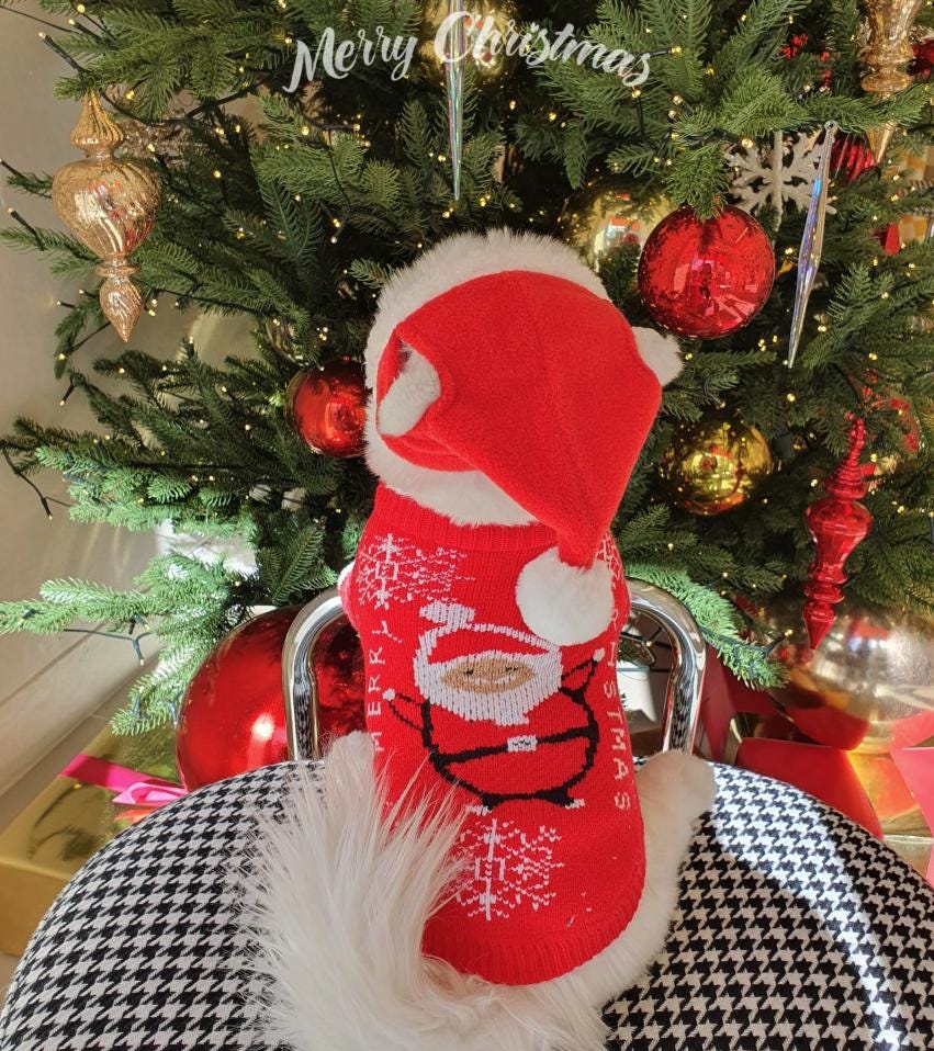 Red Santa knit dog sweater with white trim and Santa Claus pattern
