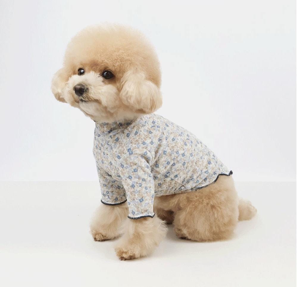NKpup Blossom Ruffle Dog Shirt with light blue floral pattern and ruffle trim