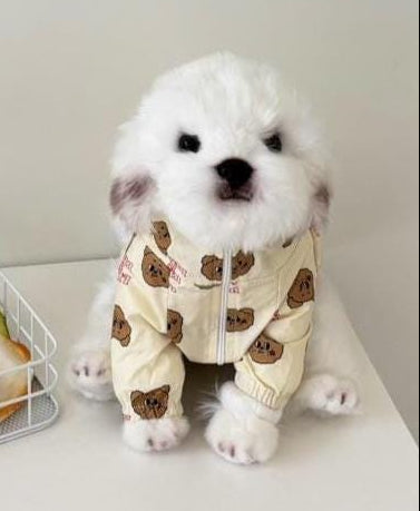 Teddy Print Zip-Up Jacket, S-2XL, Dog Jacket, Small Dog Outer, Small Dog Clothes, Gift for Dogs, NKPUP - NKpup