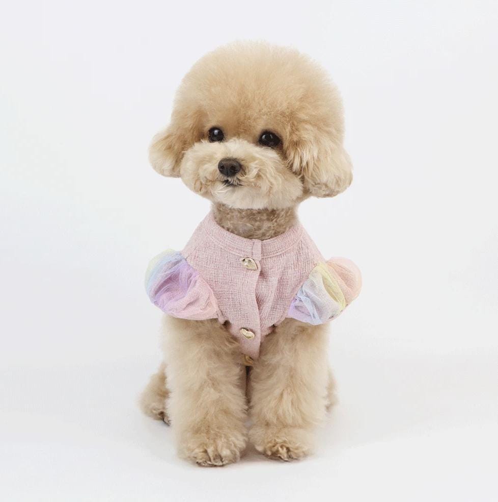 Pink NKpup rainbow puff dog cardigan with colorful sheer sleeves