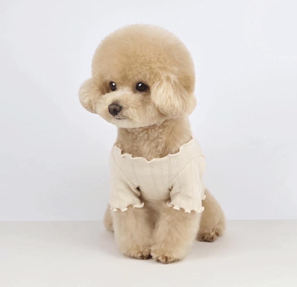 Pearl Knot Crop Cardigan, XS-XL, Small Dog Clothes, Dog Cardigan, Dog Jacket, Gift for Pet, NKPUP - NKpup