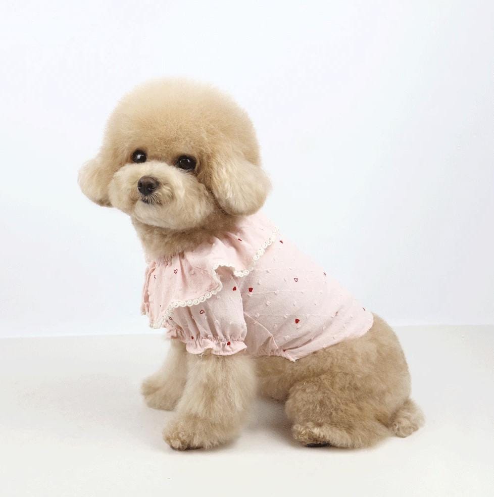 NKpup Heart Dot Lace Collar Dog Blouse in pink with heart patterns and ruffle lace collar