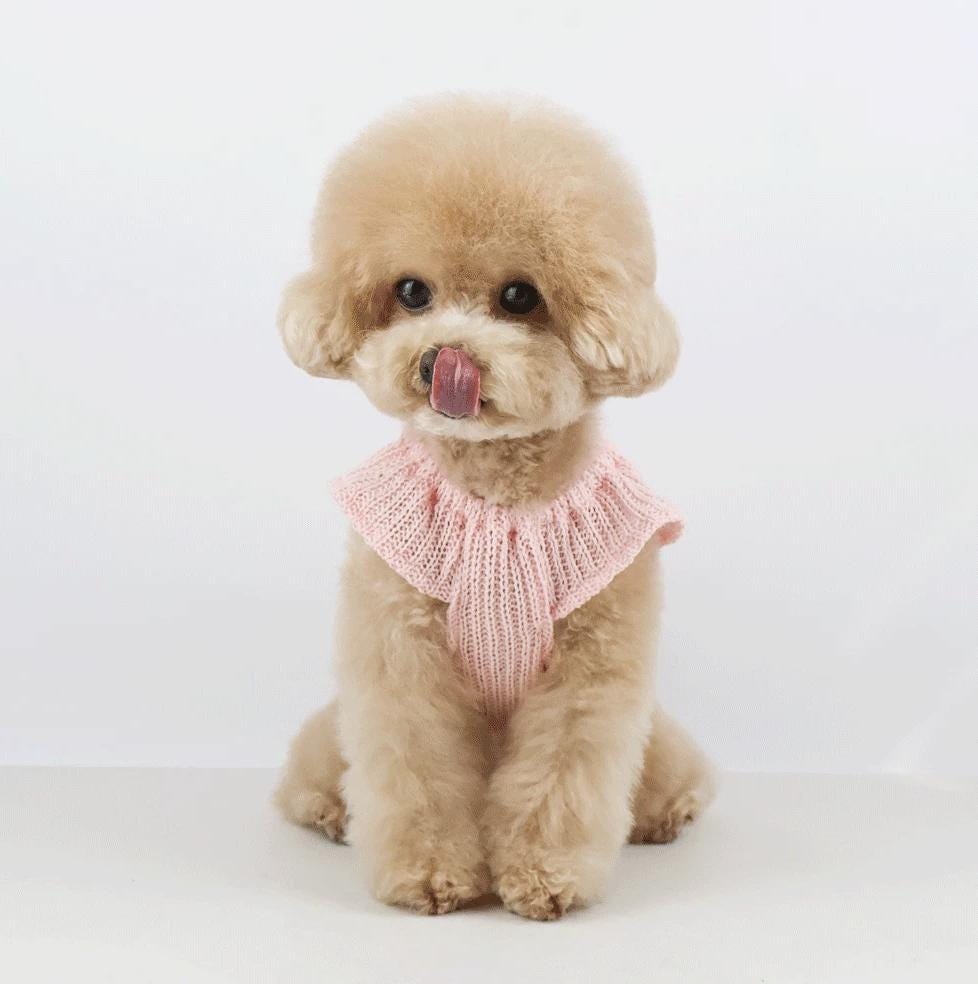 Cherry Puff Knit Top, S-2XL, Small Dog Clothes, Dog Knit, Dog Top, Gift for Pet, Dog Apparel, NKpup - NKpup