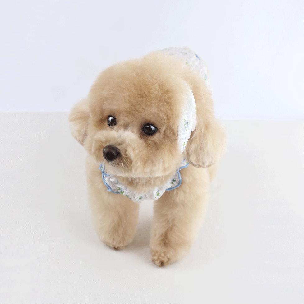 Peony floral dog overall and matching headband set in white and blue.