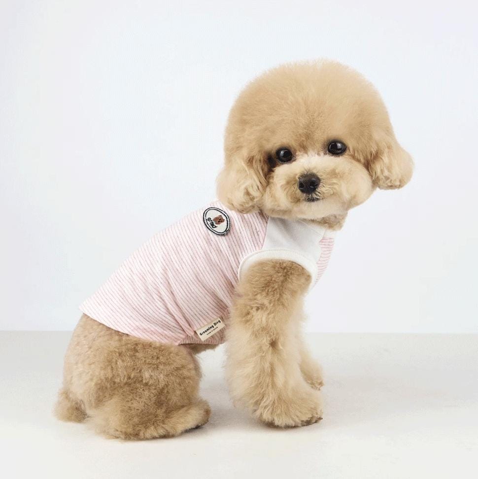 Striped Bear Tee, S-2XL, Small Dog shirt, Small Dog Clothes, Dog Fashion, Dog Apparel, Gift for Dogs, NKPUP - NKpup
