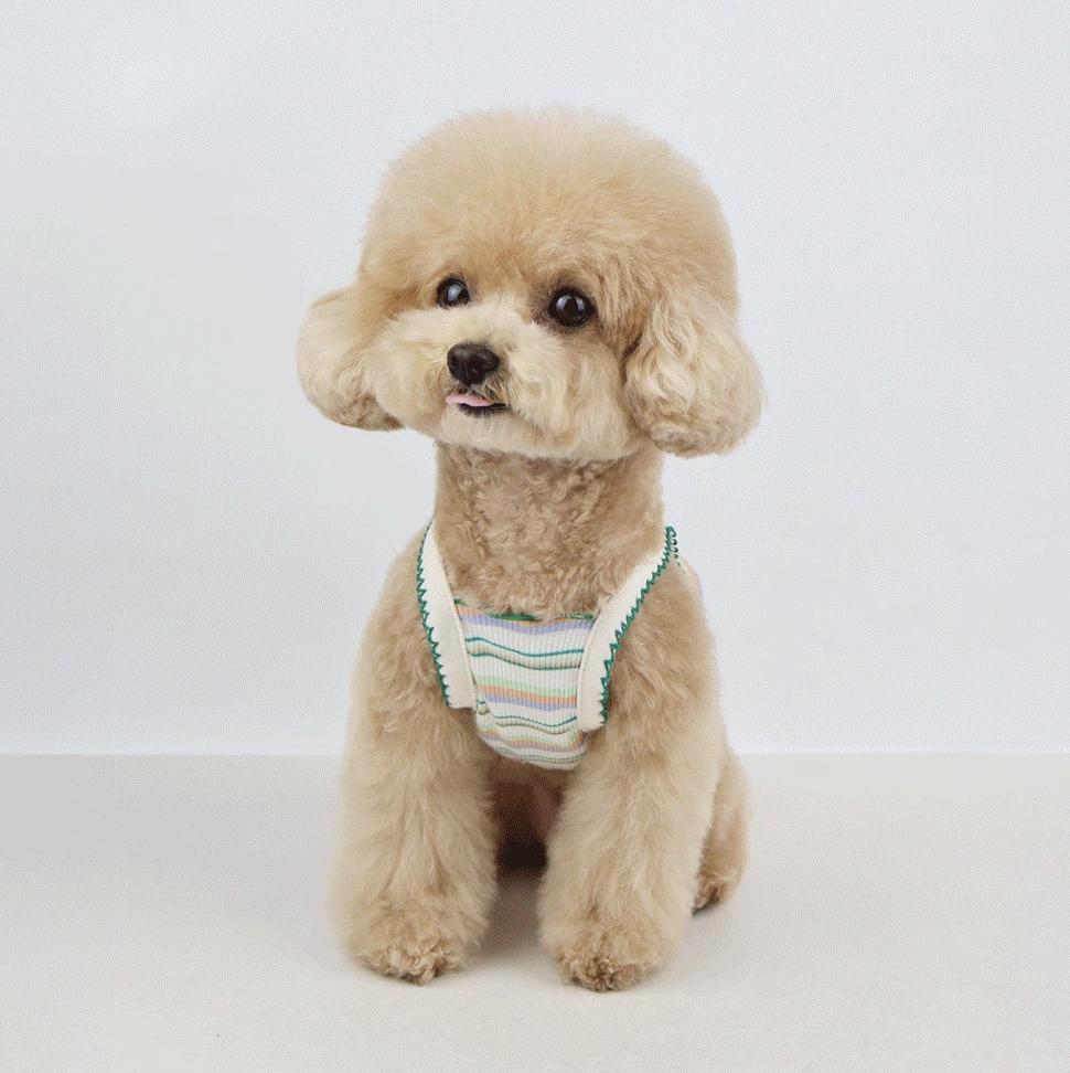 Teddy Stripe Ribbed Top for dogs in multi-colored stripes