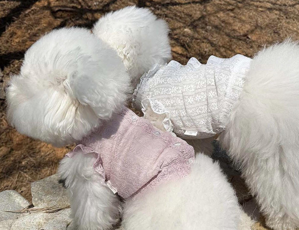 Romantic Snow Lace Blouse, XS-XL, Small Dog Clothes, Dog Summer Top, Dog-Tee, Dog Luxury Top, Dog Wedding, NKPUP - NKpup