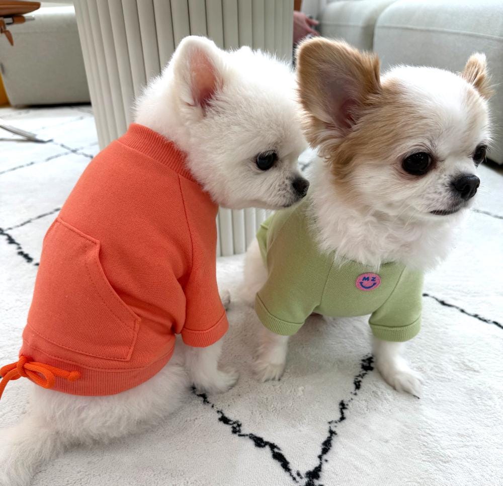 NKpup minimal drawstring sweatshirts for dogs in orange and light green.