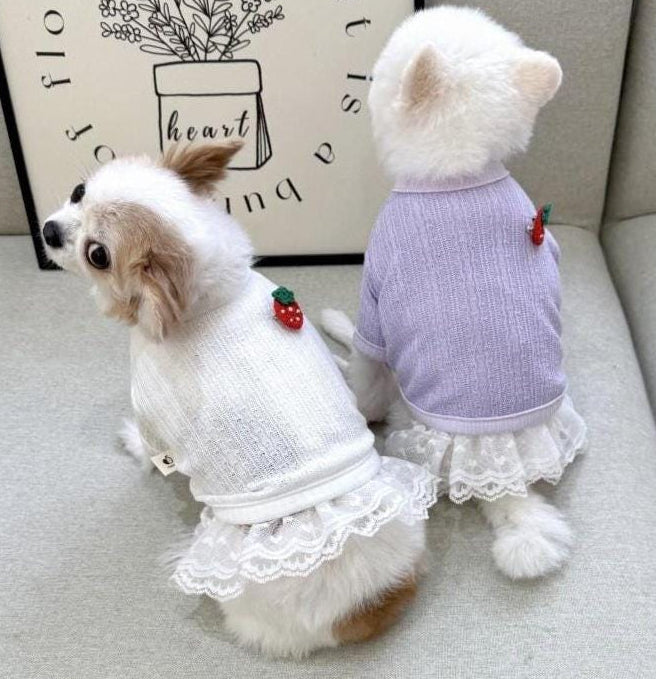 Two small dogs wearing strawberry crop dog cardigans in white and lilac with lace trim.