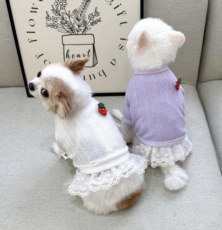Two small dogs wearing strawberry crop dog cardigans in white and lilac with lace trim.