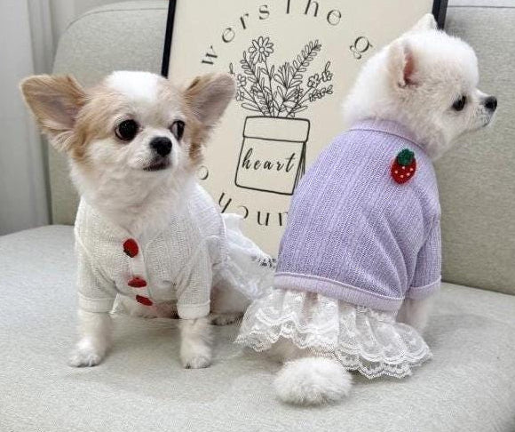 Lavender strawberry crop dog cardigan with white lace trim