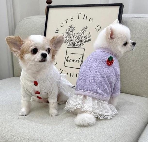 Lavender strawberry crop dog cardigan with white lace trim