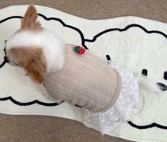Beige strawberry crop dog cardigan with white lace trim