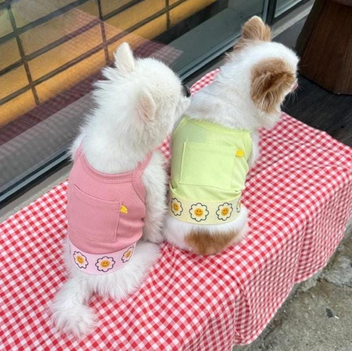 Happy Daisy Cooling Ribbed Dress, S-2XL, Small Dog Shirt, Small Dog Clothes, Dog Blouse, Gift for Dogs, NKPUP - NKpup