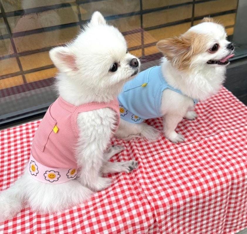 Happy Daisy Cooling Ribbed Dress, S-2XL, Small Dog Shirt, Small Dog Clothes, Dog Blouse, Gift for Dogs, NKPUP - NKpup